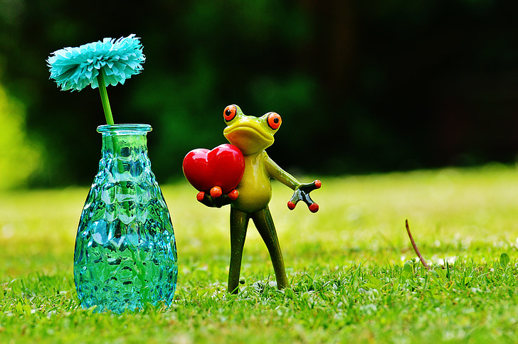 개구리, 사랑, 발렌타인의 날, 꽃병, 꽃, 유리, 인사말 카드