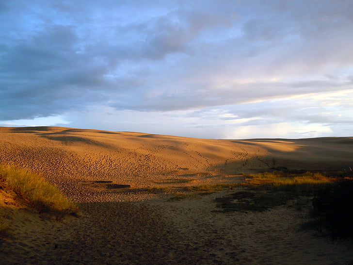 dune de sable, dunes, désert, lumière du soir, coucher de soleil