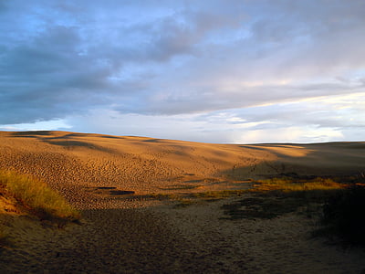 sanddyn, Dunes, öken, kvällsljus, solnedgång