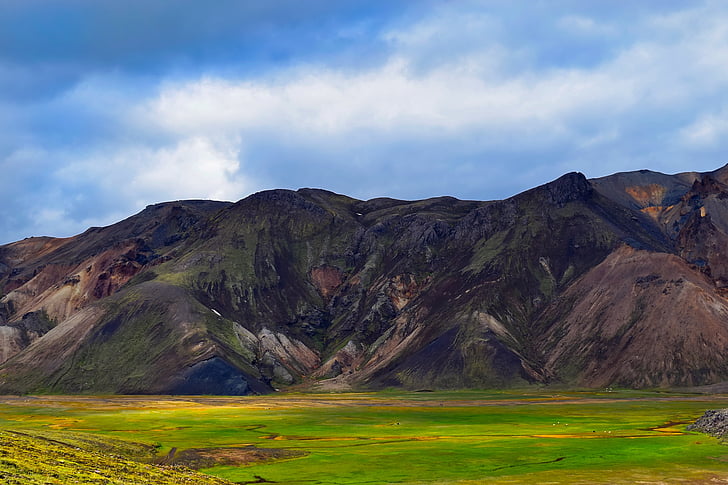 Island, planine, krajolik, slikovit, livada, priroda, na otvorenom