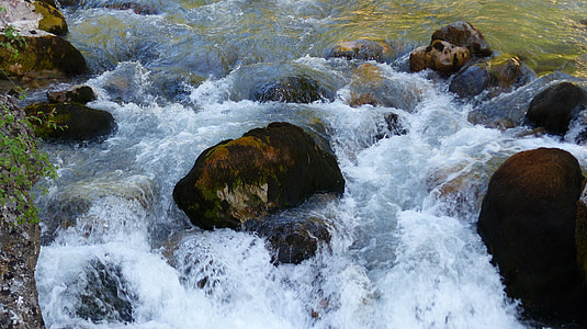 water, torrent, water courses, mountain, nature, current, alps