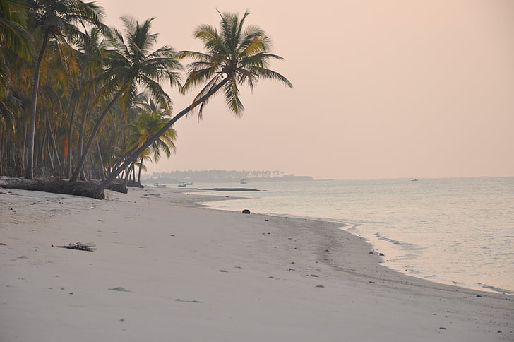 pláž, Indie, Lakshadweep, Západ slunce