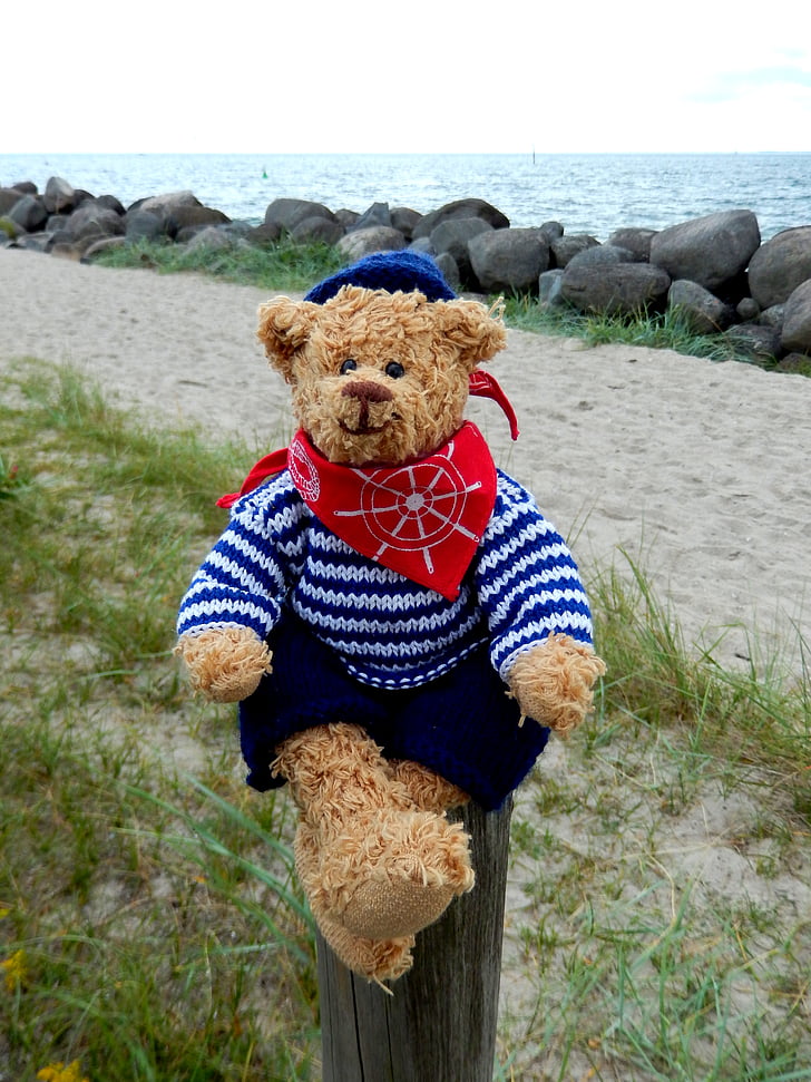 Teddy, bamse, udstoppede dyr, børn legetøj, lodden bamse, spille, havet