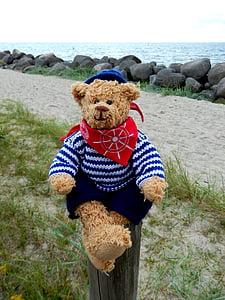 teddy, teddy bear, stuffed animal, children toys, furry teddy bear, play, sea