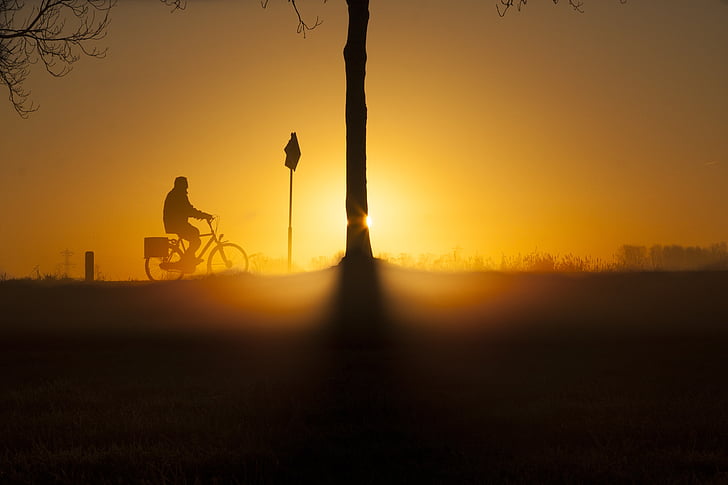 Схід сонця, велосипед, взимку, дерево, силует, Захід сонця, назад освітлених