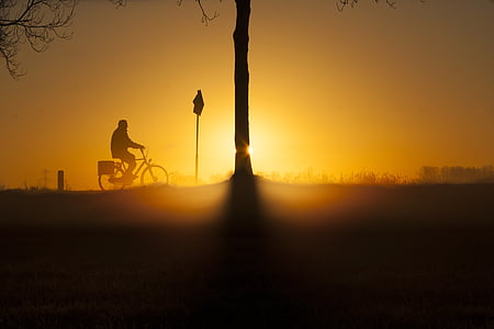 sunrise, bicycle, winter, tree, silhouette, sunset, back Lit