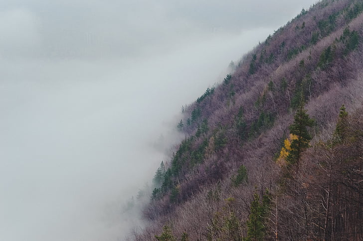 hillside, foggy, nature, mountain, fog, outdoor, hill