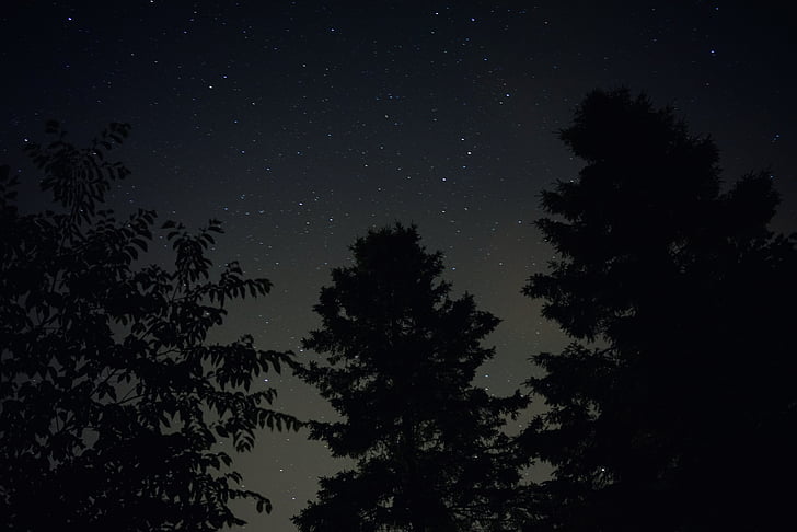 zvijezde, noć, nebo, krajolik, galaksija, stabla, vanjski