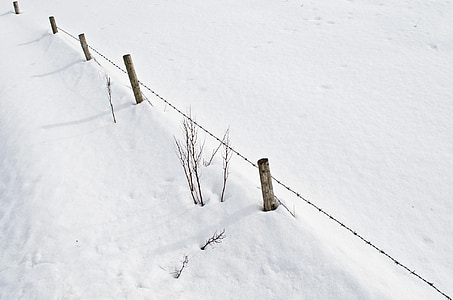 sneh, sneženie, biela, za studena, ročné obdobia, decembra, januára