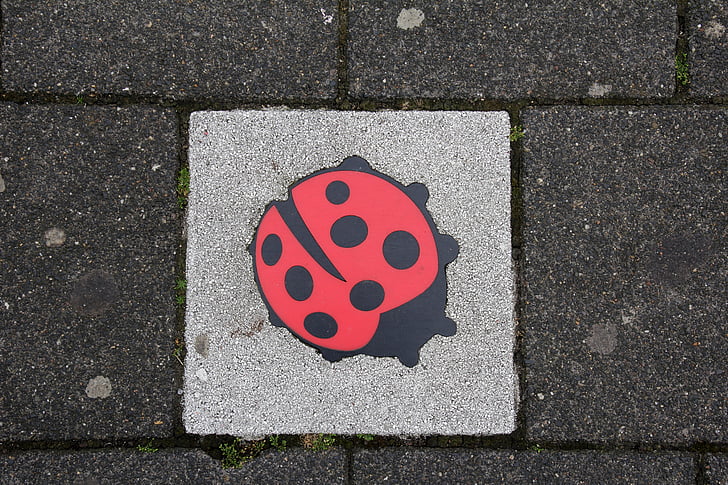 concrete slab, deco, ladybug