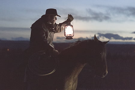cowboy, riding, hest, holde, lampe, solnedgang, fyr