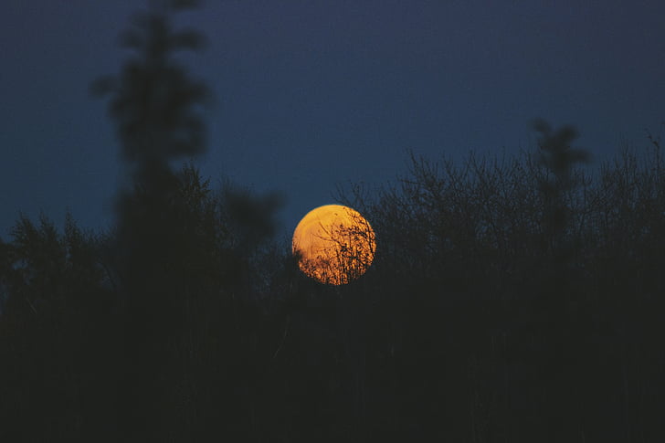 moon, photography, grass, circle, round, dark, night