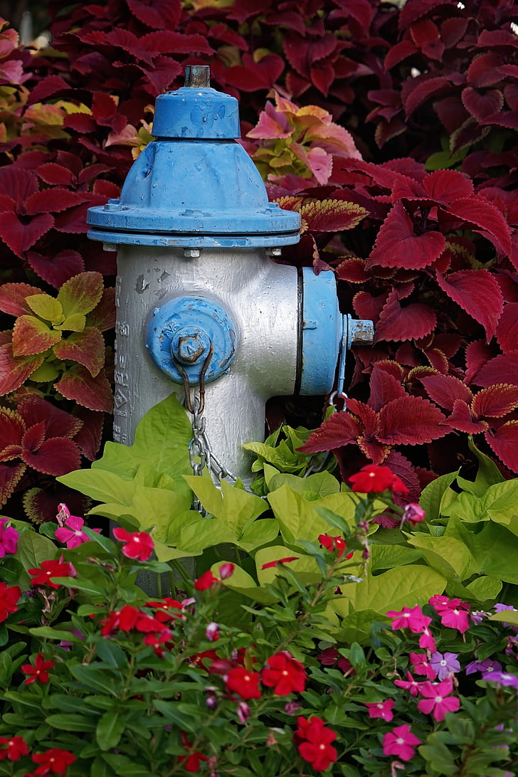 fire hydrant, hydrant, blue, silver, floral, urban, safety