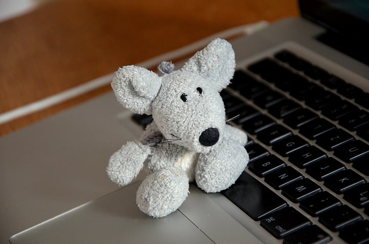 mouse, soft toy, computer, laptop, office, keyboard, fun