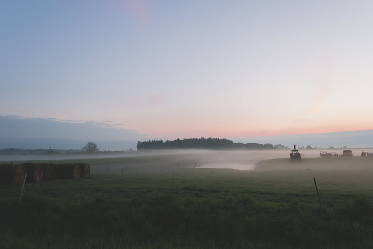 field, fog, foggy, grass, hay bales, hay field, landscape