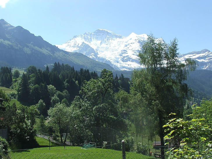 Jungfrau, montaña, verano, Wengen, Suiza, Alpes, naturaleza