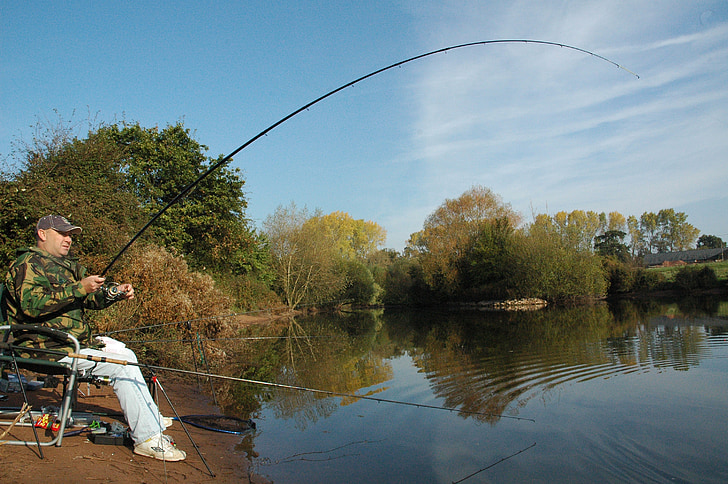 Memancing, Memancing, ikan mas, nelayan, Danau, air, batang