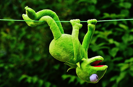 hang out, soft toy, kermit, toys, fun, funny, play