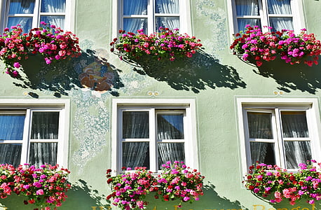 architecture, bloom, blossom, building, decoration, facade, flower boxes