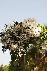 blomster, bryllup, buket, decoratiom, hvide buket