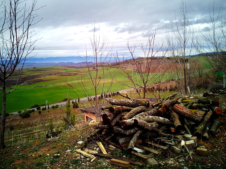 Lena, troncos, campo, cerca, cercado, portão, paisagem