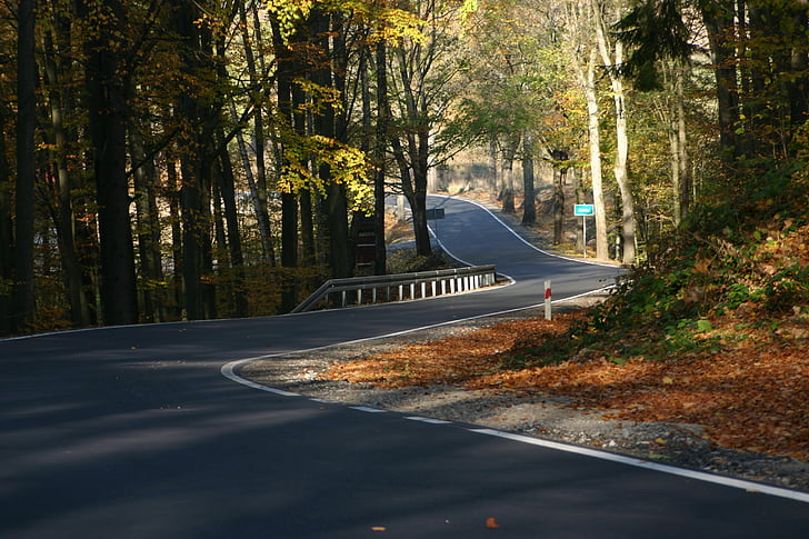 way, highway, street, autumn, road, tree, nature