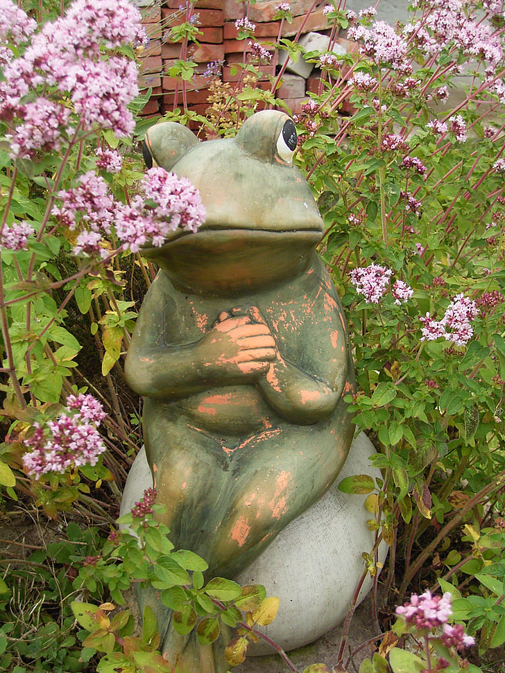 frog, garden, flowers, green, nature, stone figure, clay figure