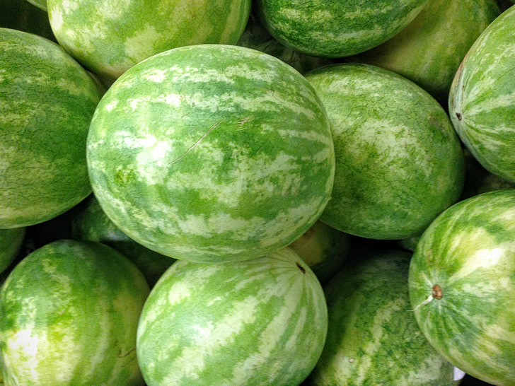 vodní meloun, produkují, čerstvé, jídlo, ovoce, organický, zdravé