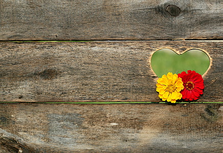 postcard, heart, flowers, board, background, valentine, texture