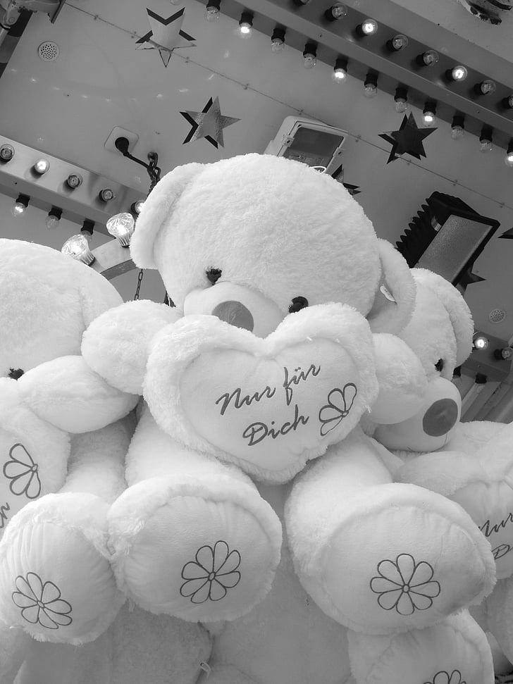 bears, teddy, cute, sweet, plush, stuffed animals, plush toys