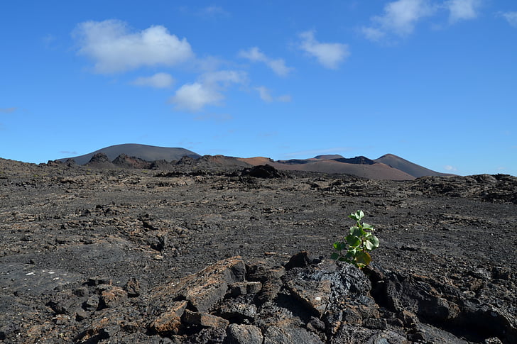 volcano, plant, nature, landscape, sky, lava stone, lava