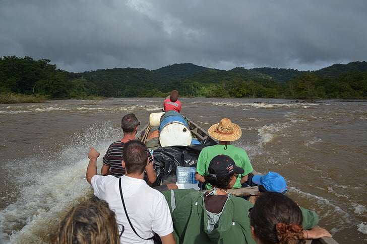 řeka, Maroni, Guayana, Surinam, Příroda
