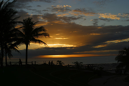 Broome, solnedgång, Australien, stranden, palmer