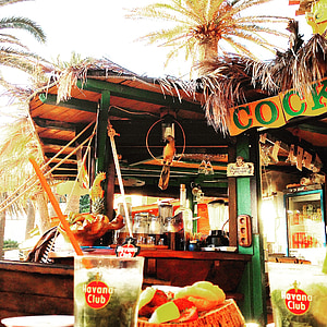 Bar, egzotik, plaj, kum, palmiye ağaçları, Mojito, kokteyller