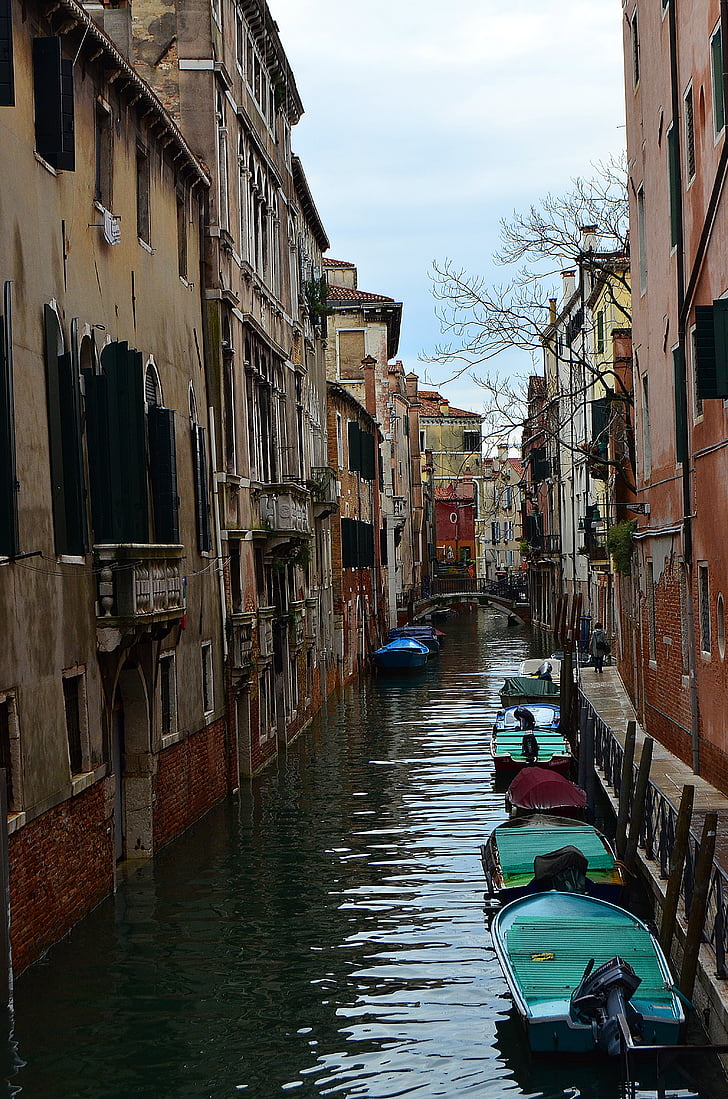 venice, italy, boat, motor boat, channel, small river, trees