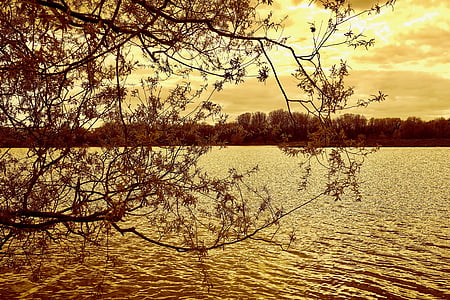 湖, 木, 自然, 水, 風景, 風景, 空