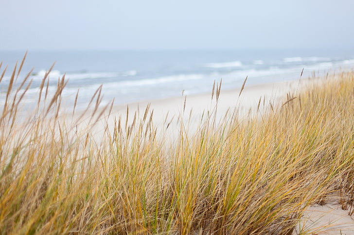 Дюни, море, Балтийско море, плаж, брегова линия, природата, пясък