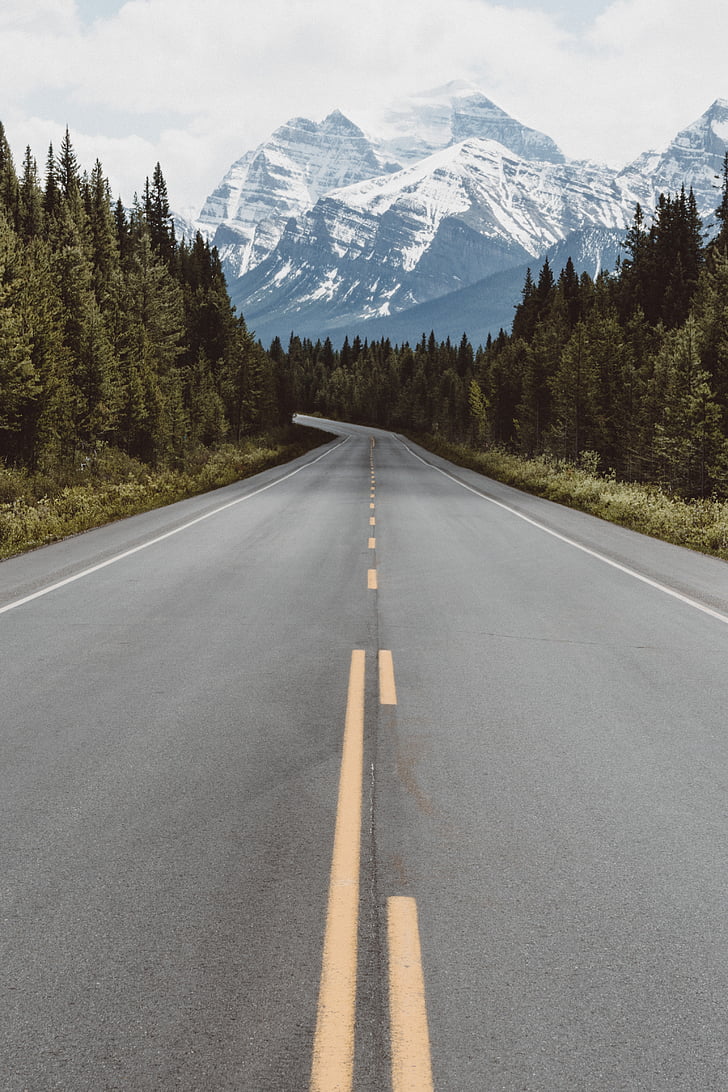 nature, road, travel, adventure, trees, woods, forest