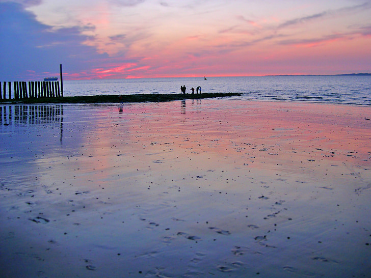 Paesi Bassi, sera, spiaggia, Texel, romantica, tramonto