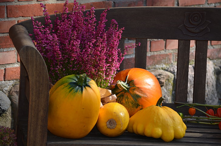 kalebass, pumpa, hösten dekoration, Thanksgiving, hösten