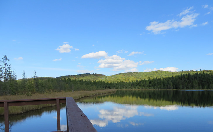 lake, reflections, tree, scenic, calm, cloud