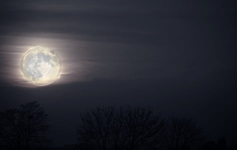 mēness, naktī, ainava, daba, debesis, siluets, Nr cilvēki