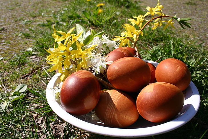 яйца, Пасха, Весна, питание, Природа, трава, свежесть