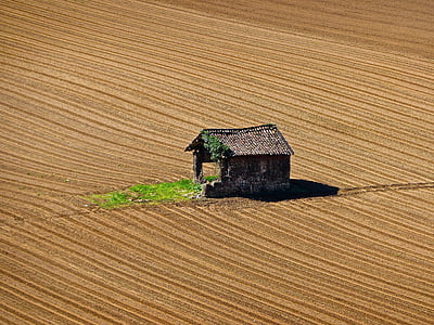 Hut, porzucone, drewniane, szopa, samotny, Rolnictwo, pusty