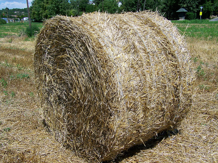 straw bale, potential gabonaszár, rural landscape