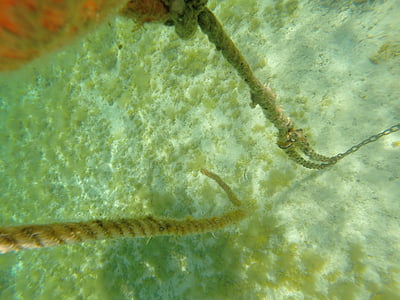 boje, underwater, chain, water, rusty, round link chain, connection
