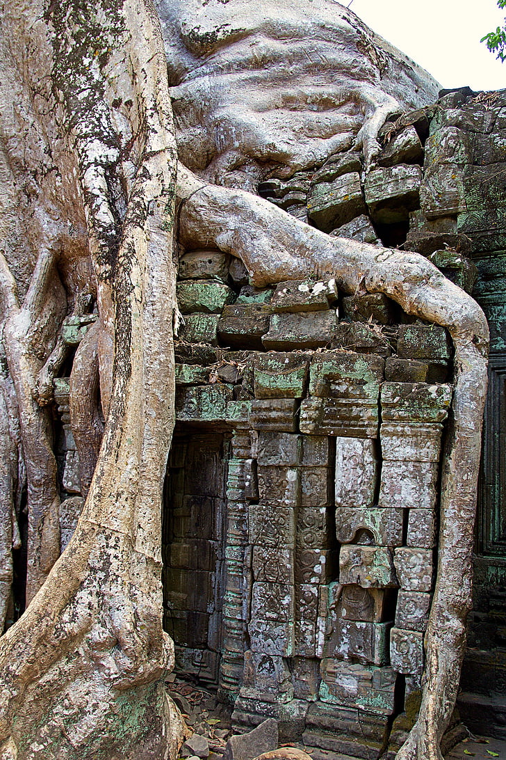 Kambodža, v Siem Reapu, Angkor wat, chrám, Asie, UNESCO, Seznam světového dědictví