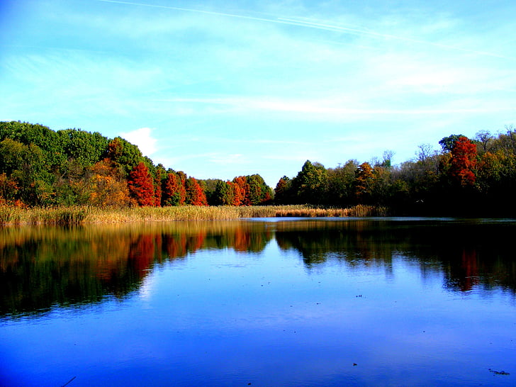 ežeras, rudenį, miško, atspindys, kraštovaizdžio, raudona