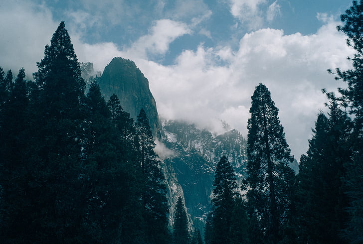 Yosemite, Park, naturen, nationella, Kalifornien, resor, skogen