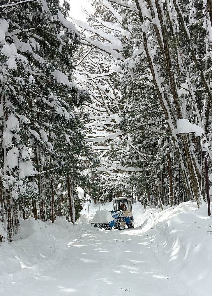 neu, Hakuba, Japó, l'hivern, Clariana, neteja de neu